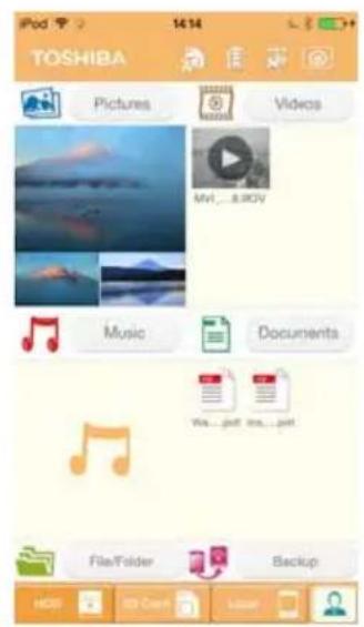 TOSHIBA Pictures Videos MVI...a.iRV Music Documents We...golf me...golf File/Folder Backup