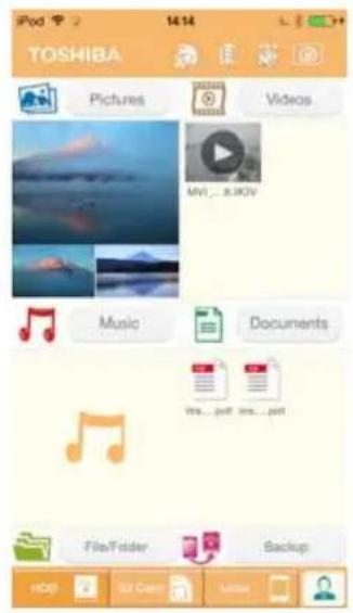 TOSHIBA Pictures Videos MVI...8.ROV Music Documents Wks...pdf ins...pdf File/Folder Backup HDI 3D Case Delete