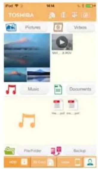 TOSHIBA Pictures Videos MVI...3.3XIV Music Documents File...pdf ###...pdf File/Folder Backup