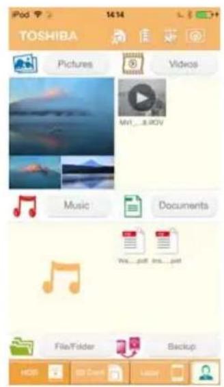 iPod TOSHIBA Pictures Videos Mvt...a.iRV Music Documents Wes...gpt ins...gpt File/Folder Backup HOS Back Lister