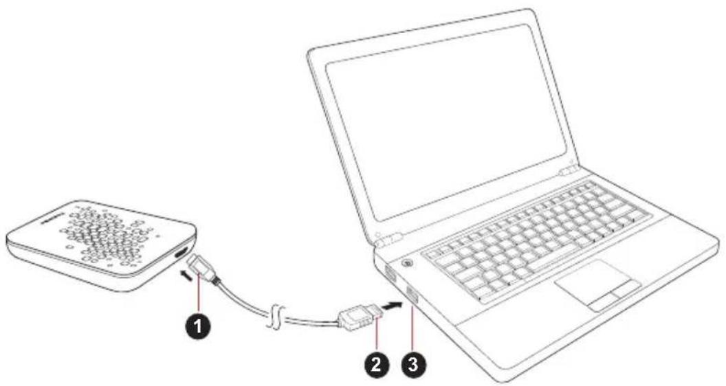 TOSHIBA StorE Art 4 - Kople stasjonen til datamaskinen - 1