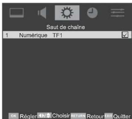 TOSHIBA 22AV615DG - Saut de chaîne - 3
