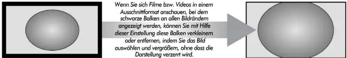 TOSHIBA WLG67 - Anzeige im Breitbildformat - 4