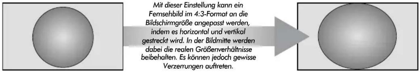 TOSHIBA WLG67 - Anzeige im Breitbildformat - 1