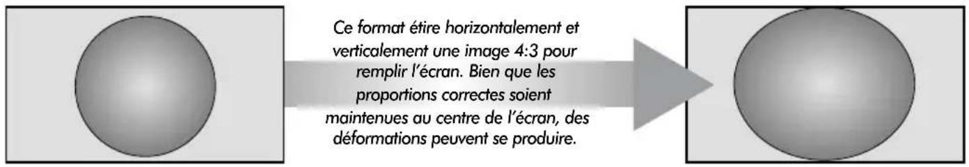 TOSHIBA WLG67 - Représentation grand écran - 1