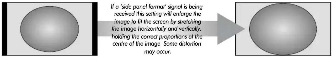 TOSHIBA WLG67 - Widescreen viewing - 2
