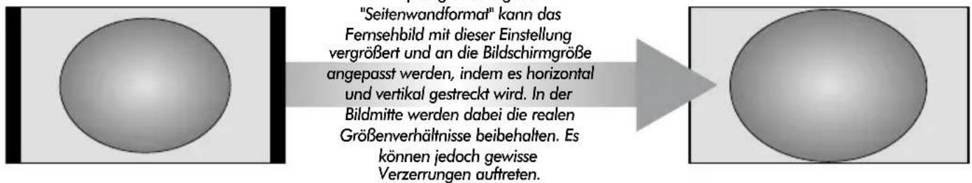 TOSHIBA WLG67 - Anzeige im Breitbildformat - 2