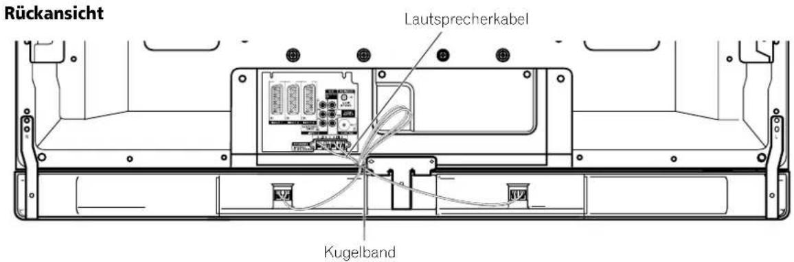 PIONEER PDP4270XA - Verlegen von Kabeln - 1