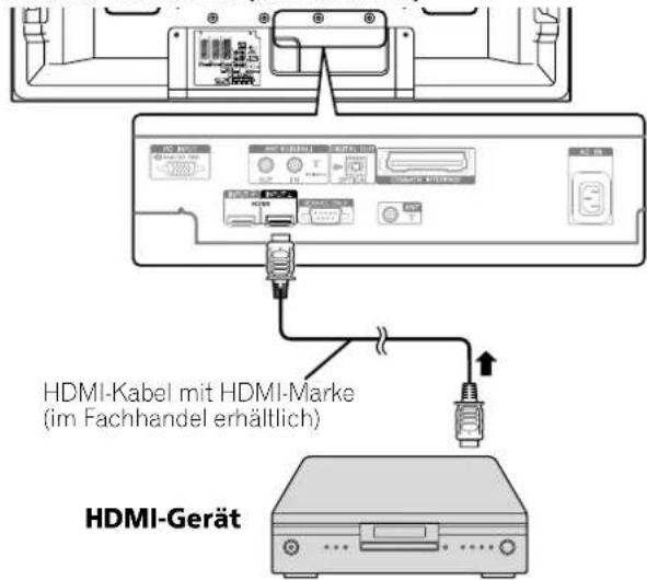 PIONEER PDP507XD - Plasma-Fernseher (Rückansicht) - 1