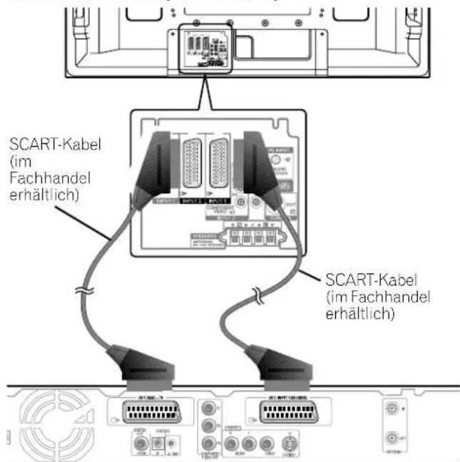 PIONEER PDP507XD - Plasma-Fernseher (Rückansicht) - 1