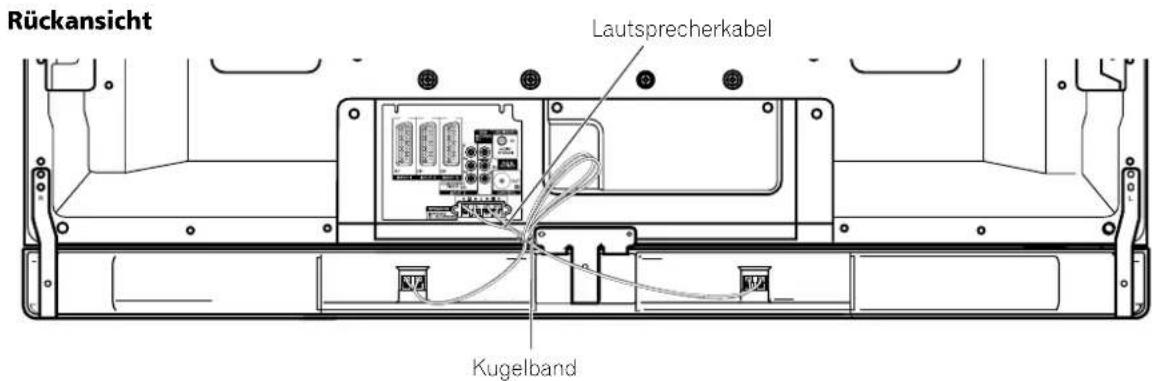 PIONEER PDP507XD - Verlegen von Kabeln - 1