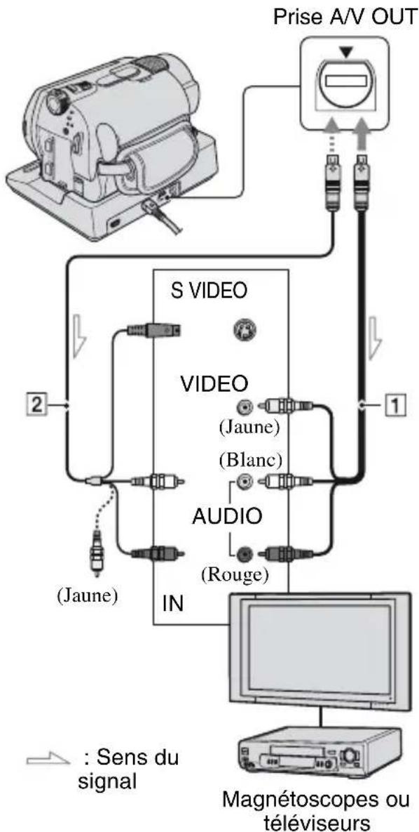 SONY DCRSR3190E - Lecture d'une image sur un téléviseur - 1