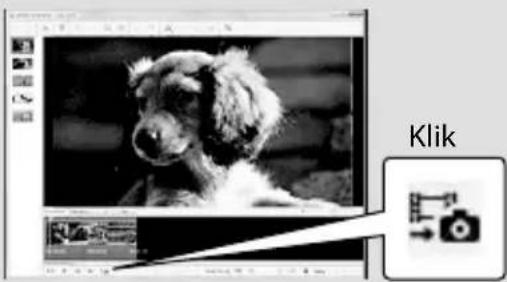 SONY DCRSR47S - Foto's vastleggen uit een film - 1