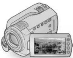 SONY DCRSR47S - SONY® - 1
