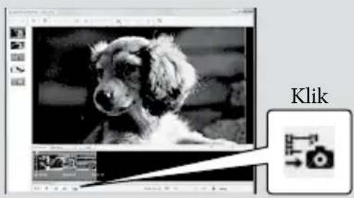 SONY HDRCX105ES - Foto's nemen uit een film - 1