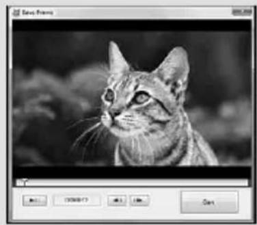SONY HDRCX550VEB - Foto's vastleggen in een film - 1