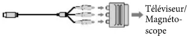 SONY HDRCX550VEB - Si vous teléviseur ou votre magnétoscope est équipé d'un adaptateur 21 broches (EUROCONNECTOR) - 1