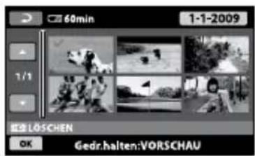 SONY HDRCX105EB - Löschen von Filmen und Fotos - 1
