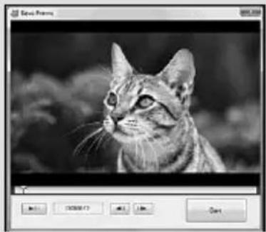 SONY HDRXR350VEB - Capture de photos à partir d'un film - 1