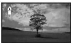 PANASONIC NVGS500B - Enregistrement dans diverses situations (Mode scène) - 4