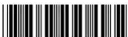 PANASONIC NVGS500B - 4:3-functie: - 3