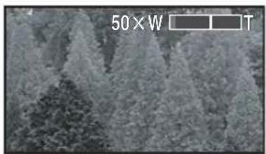 PANASONIC NVGS500B - ■ Fonction zoom numérique - 1