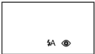 PANASONIC NVGS500B - Utilisation du flash vidéo incorporé - 2