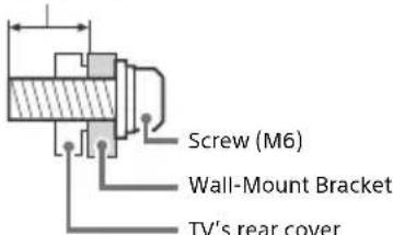 Screw (M6) Wall-Mount Bracket TV's rear cover
