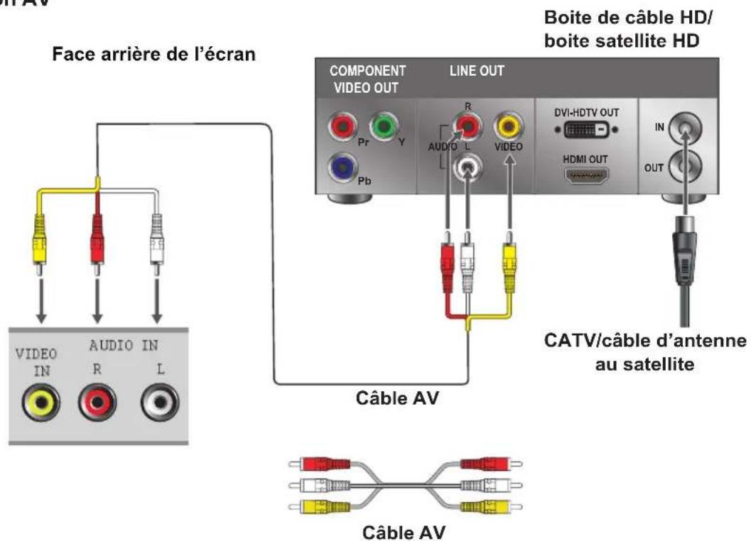 VIEWSONIC CDE6500L - Connexion AV - 1