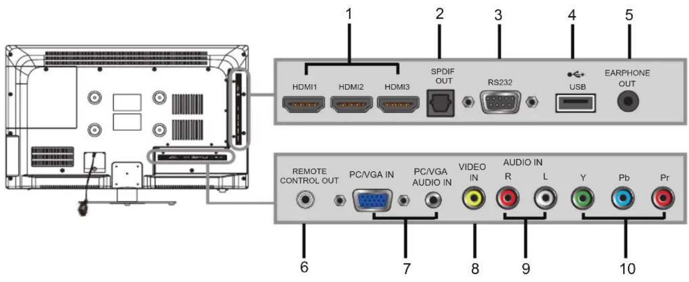 VIEWSONIC CDE6500L - Vue de l'arrière de l'appareil - 1
