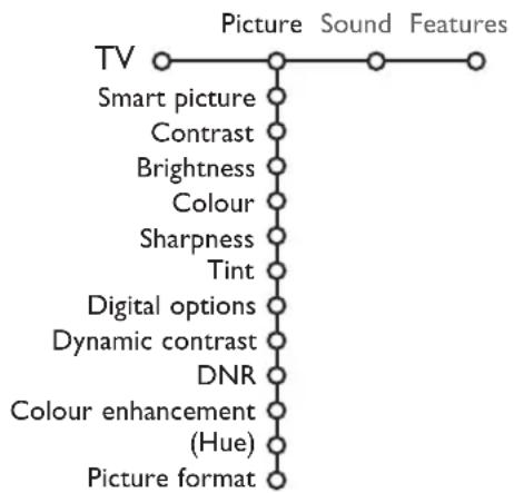 PHILIPS 32PW9521 - Picture menu - 1