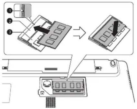 TOSHIBA Satellite C670D - Glissez votre ongle ou un objet fin sous le capot et soulevez-le. - 2