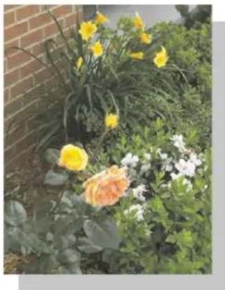 DELL Photo 922 - Impression de photos sans bordure - 1