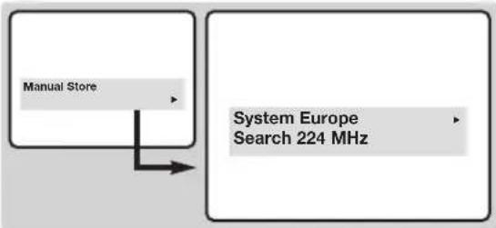 PHILIPS 14PT1346 - Manuell lagring - 1