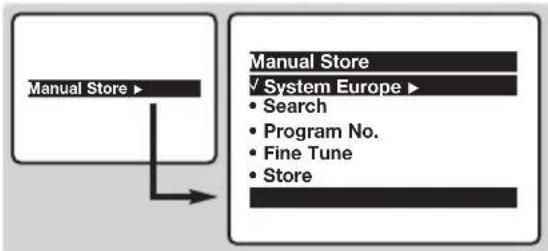 PHILIPS 21PT5509 - Manual store - 1