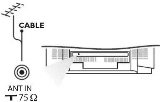 CABLE ANT IN T 75 Ω
