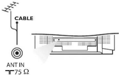 CABLE ANT IN T 75 Ω