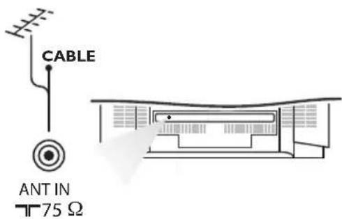 CABLE ANT IN T 75 Ω