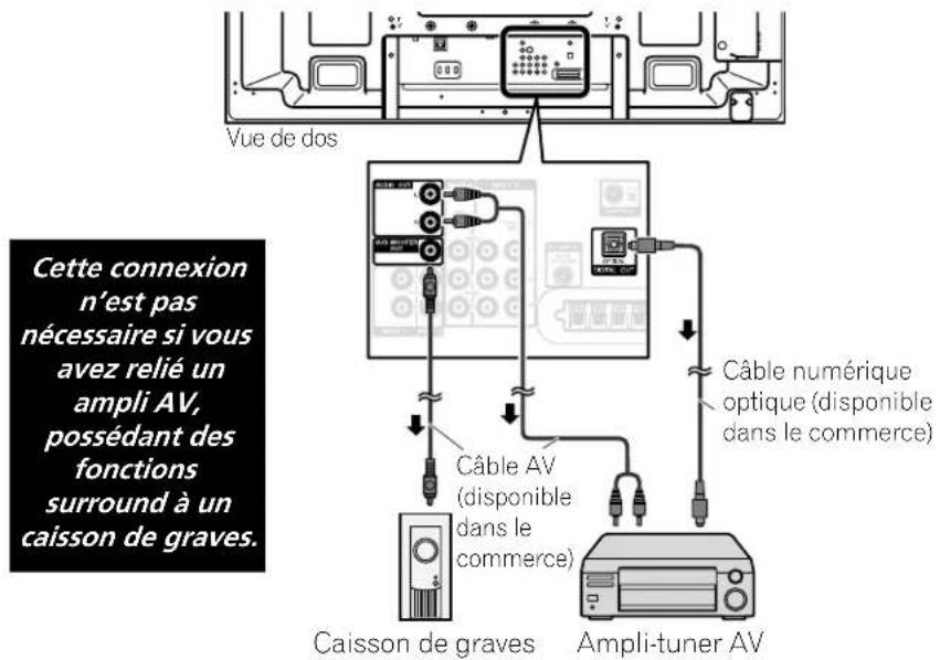PIONEER PDP5020FD - Ajout d'autres apparéils audio - 1