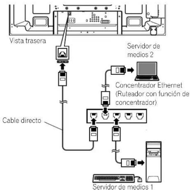 PIONEER PDP5020FD - Conexión via un concentrador Ethernet - 1