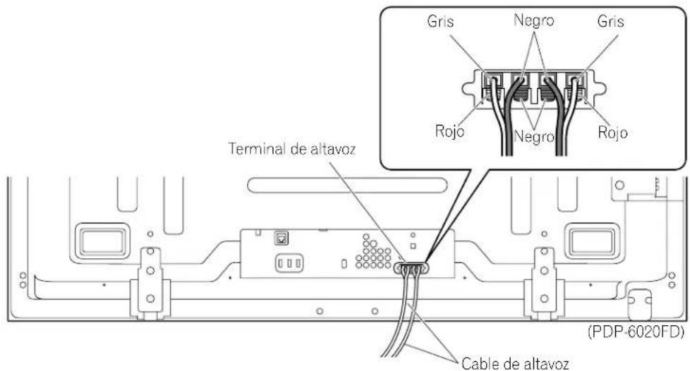 PIONEER PDP5020FD - Connecte los cables de altevoz. - 2