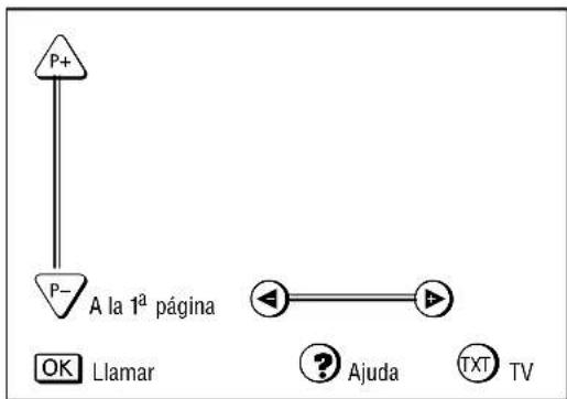 GRUNDIG MW 82 100 9 PALPLUS - Operaciones básicas - 1