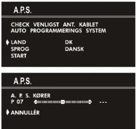 JVC AV14BM8S - Indledende indstillinger - 1