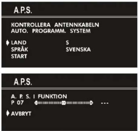 JVC AV21BJ8ENS - Inledande inställningar - 1
