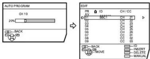 JVC AV28X25EU - Press the blue button to start the AUTO PROGRAM function - 1