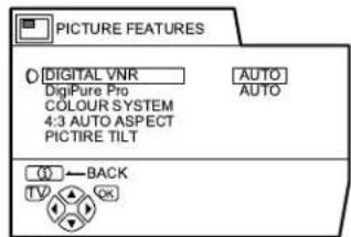 JVC AV28H20EU - PICTURE FEATURES (caracteristicadasimagem) - 1