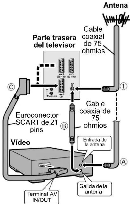 JVC AV28CH1EU - como conectar la antenna y el video - 1