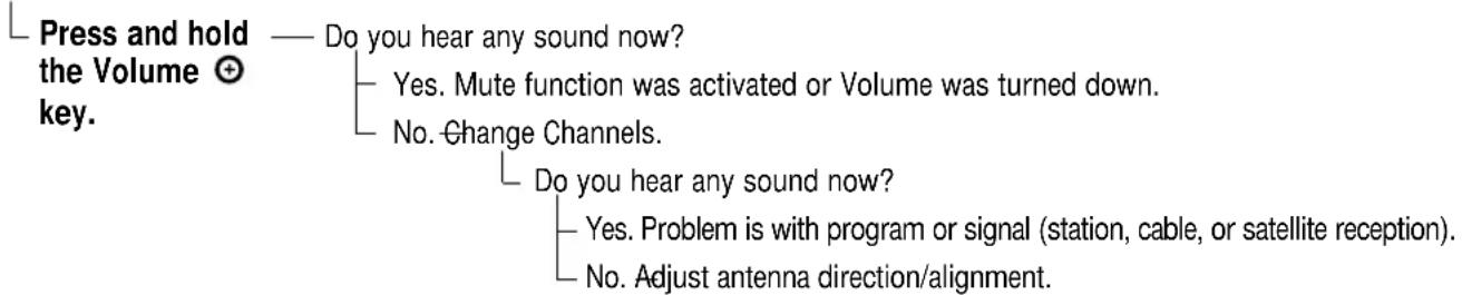SANYO DS25390 - No sound - 1