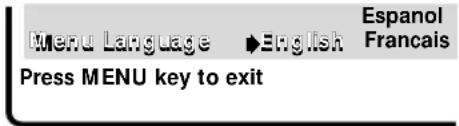 SANYO DS25390 - SELECTING THE DISPLAY LANGUAGE - 2
