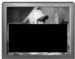 SANYO DS25390 - Quick Tips - 1